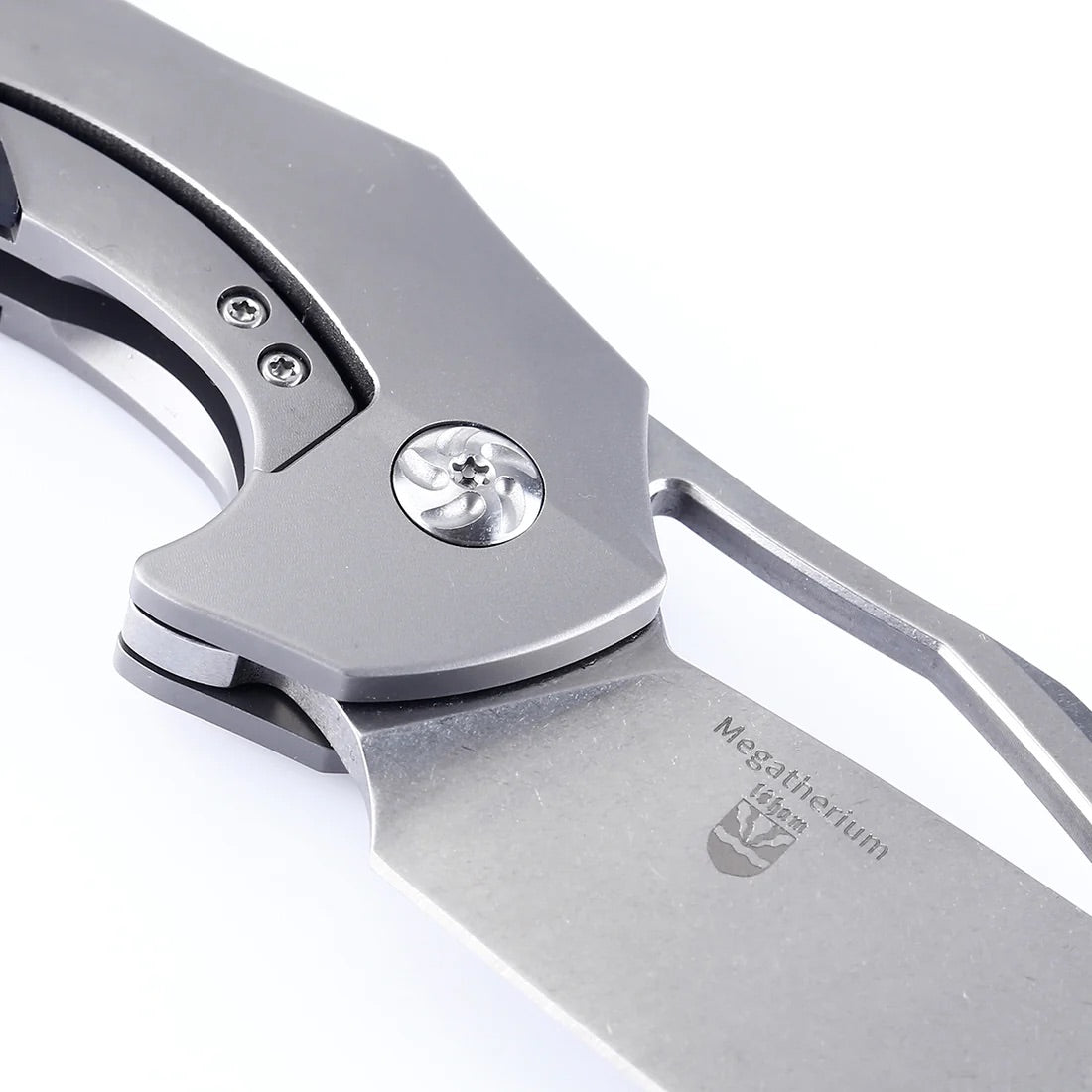 Megatherium-Kizer Cutlery-OnlyKnives